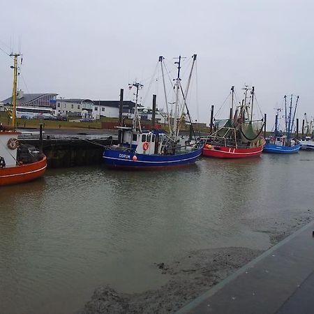 Nordsee Und Natur. Gemuetliche Fewo Mit Deichblick Дорум-Нойфельд Екстер'єр фото