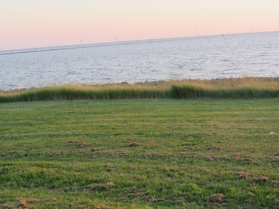 Nordsee Und Natur. Gemuetliche Fewo Mit Deichblick Дорум-Нойфельд Екстер'єр фото