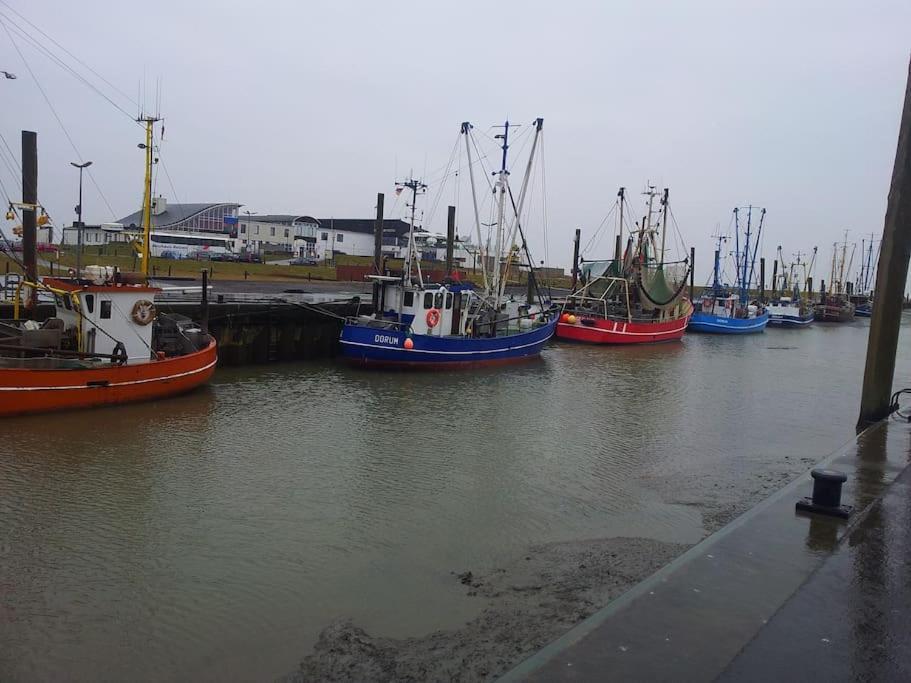 Nordsee Und Natur. Gemuetliche Fewo Mit Deichblick Дорум-Нойфельд Екстер'єр фото